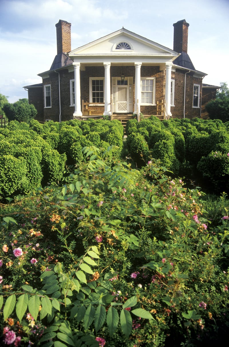 Poplar Forest - Joseph Sohm - Shutterstock.com