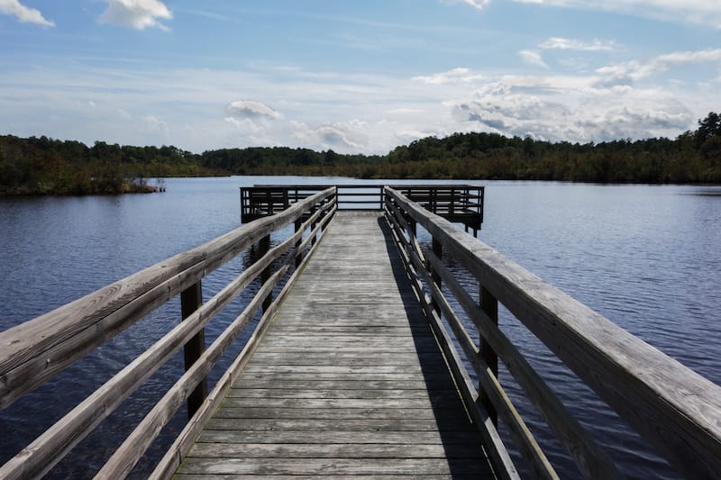 Prime Hook National Wildlife Refuge in Milton