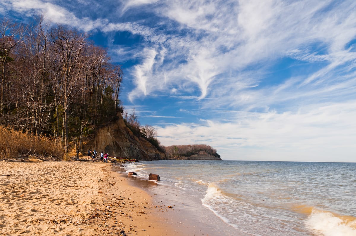 Calvert Cliffs