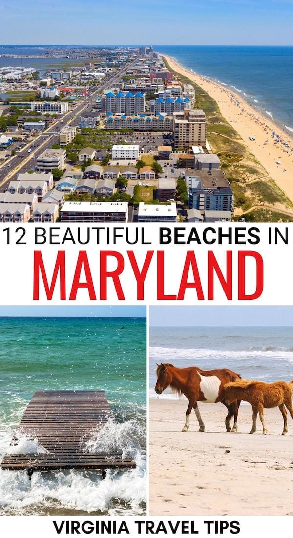 Are you looking for the best beaches in Maryland for a summer getaway? This guide lists the top Maryland beaches, including ones in state parks and more! | Maryland in summer | Ocean City beaches | Maryland state parks | Where to swim in Maryland | Maryland kayaking | Chesapeake Bay beaches | Beaches near Baltimore | Beaches near Annapolis | Things to do in Maryland | Summer in Maryland