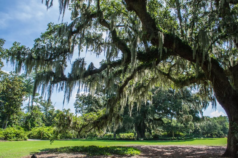 Airlie Gardens - Wilmington NC things to do