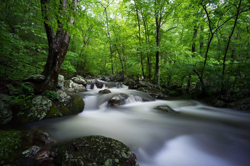 Along the Hazel River in Shenandoah National Park