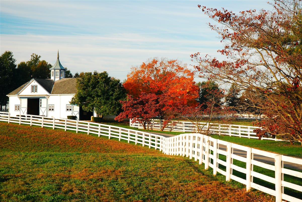 Best things to do in Lexington KY - James Kirkikis - Shutterstock.com