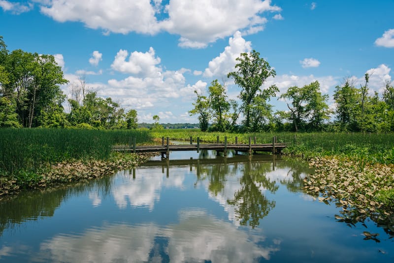 Mount Vernon Trail