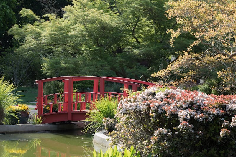 New Hanover County Arboretum