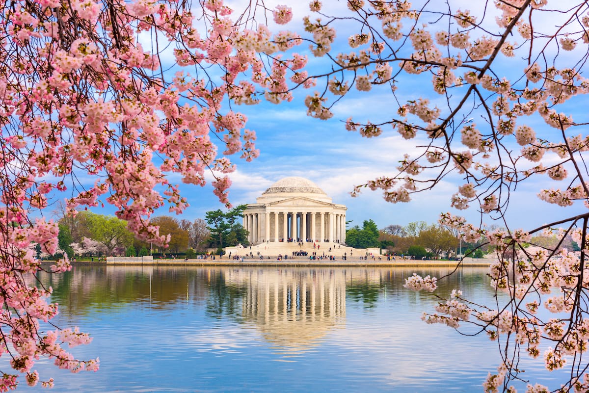 Washington DC in spring