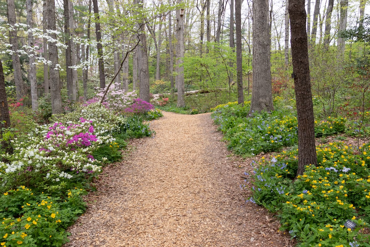 Edith J. Carrier Arboretum