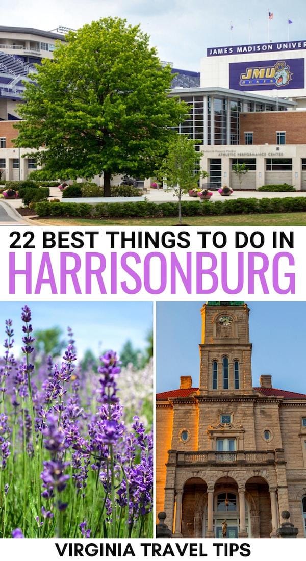 Are you looking for the best things to do in Harrisonburg VA? This contains the most popular Harrisonburg landmarks and attractions - all for a first-time visitor! | Harrisonburg things to do | Harrisonburg itinerary | Harrisonburg restaurants | Harrisonburg museums | Places to visit in Harrisonburg | What to do in Harrisonburg | Harrisonburg attractions | Harrisonburg sightseeing | Harrisonburg bucket list | Visit Harrisonburg | Harrisonburg coffee shops | Harrisonburg tours