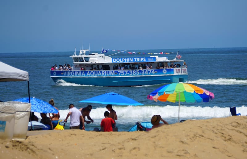 VA Beach dolphin-watching - Khairil Azhar Junos - Shutterstock