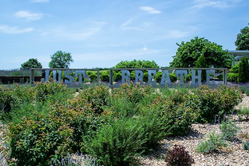 White Oak Lavender Farm