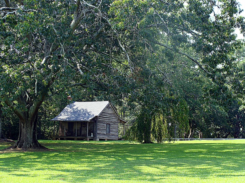 An old log cabin and shady grounds