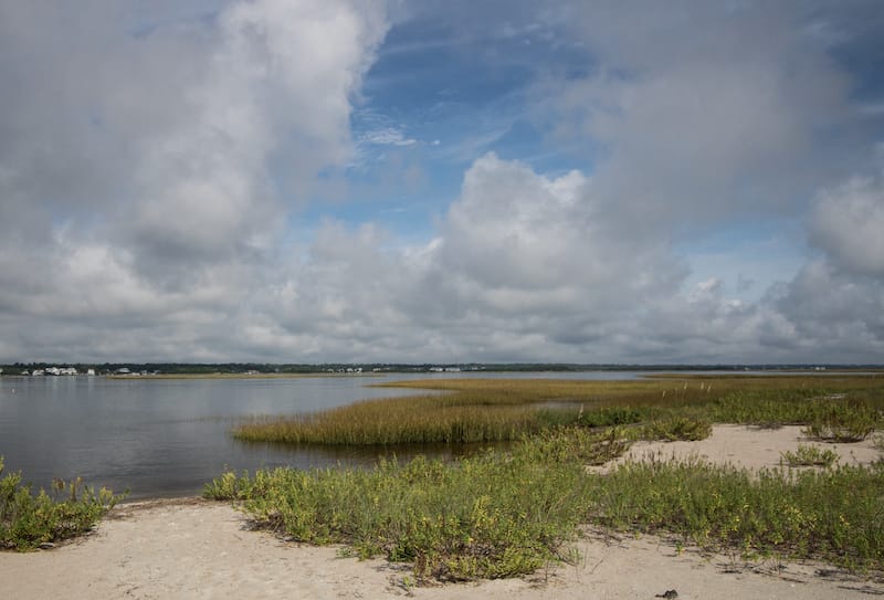 Masonboro Island