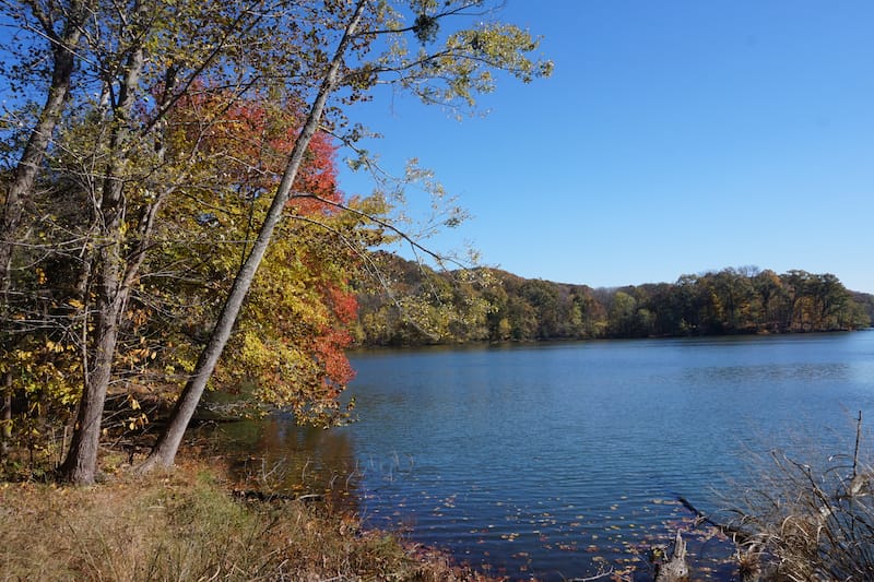 Radnor Lake State Park