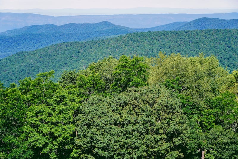 Shenandoah National Park