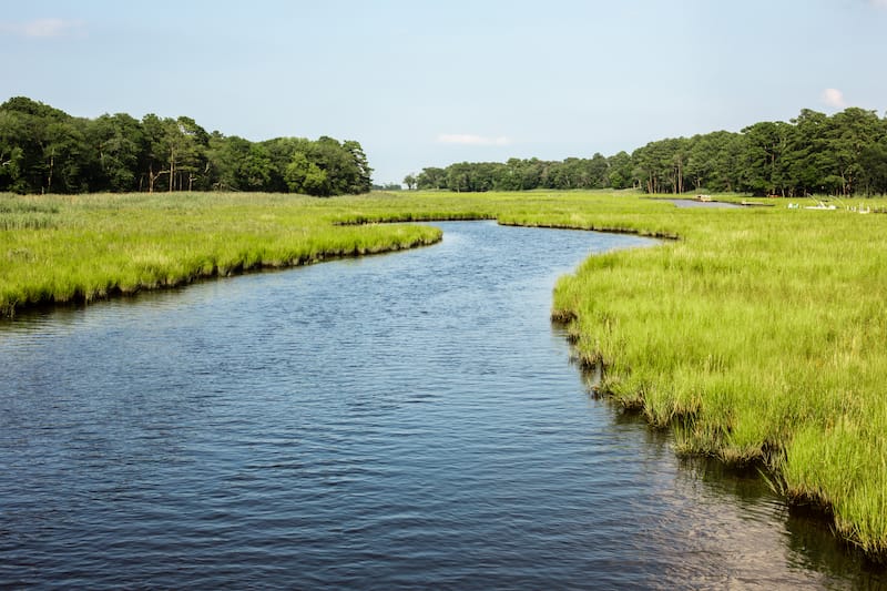 Breakwater & Junction Trail