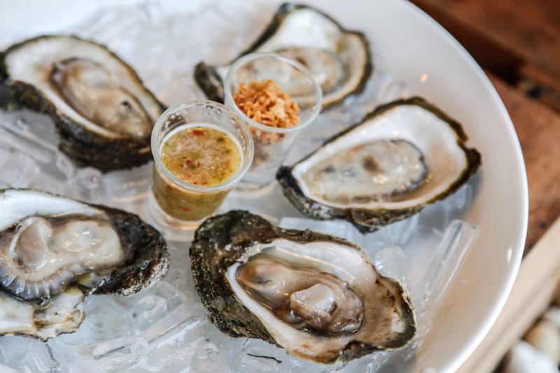 Maryland oysters