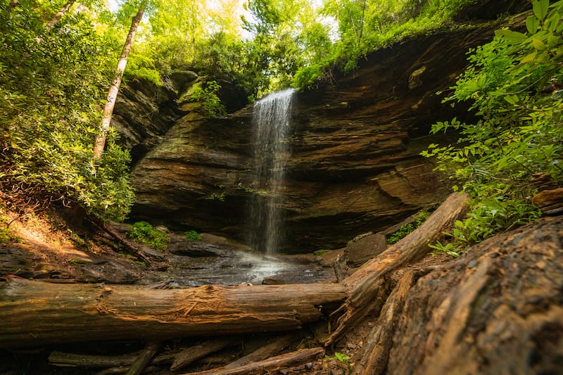 Moore Cove Falls