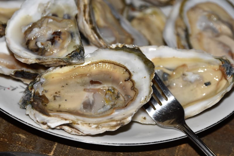 Oysters on the half shell