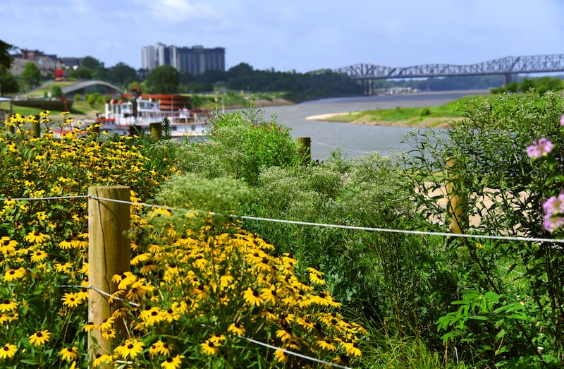 Riverboat cruise of Memphis