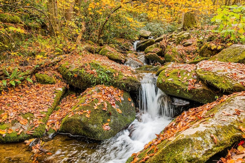 Roaring Fork Falls