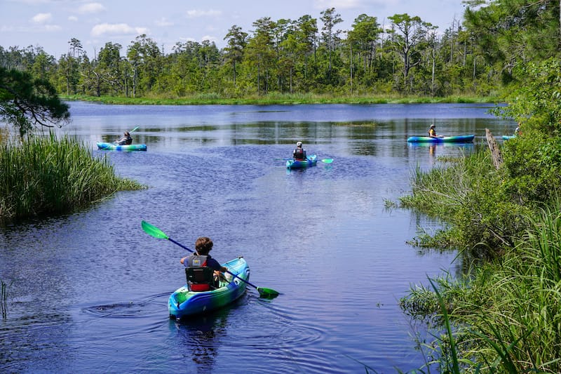 Kayaking in the Alligator River NWR