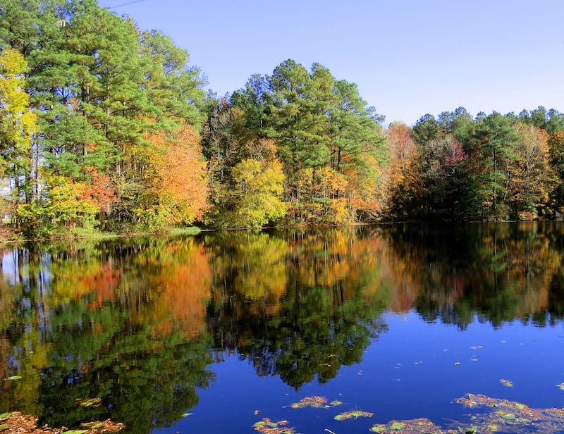 Trap Pond State Park