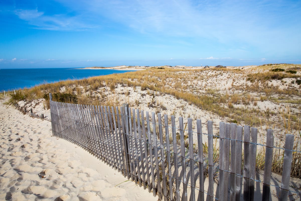 Cape Henlopen is one of the prettiest beaches in Delaware!