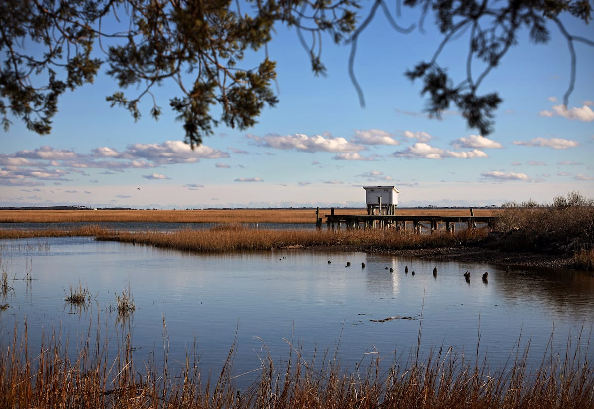 Wachapreague via Virginia Sea Grant (Flickr CC BY-ND 2.0)