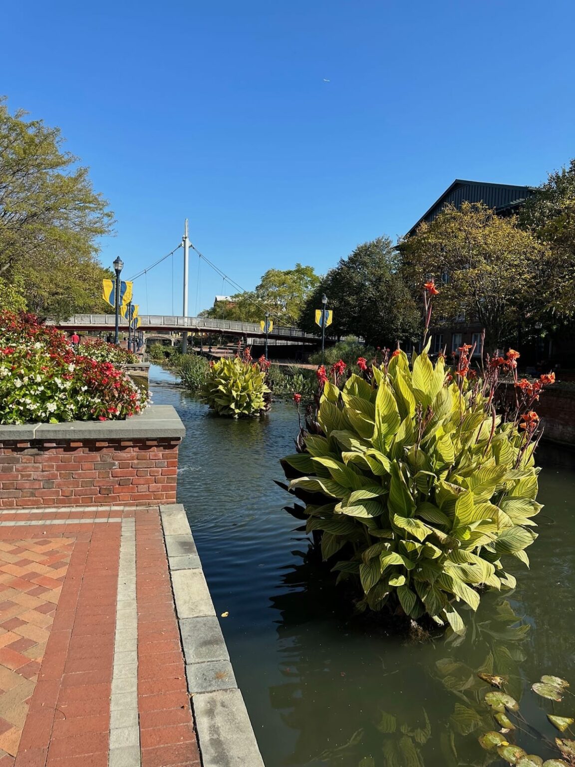 5 Fantastic Hiking Trails in Frederick, MD (+ Nearby!)