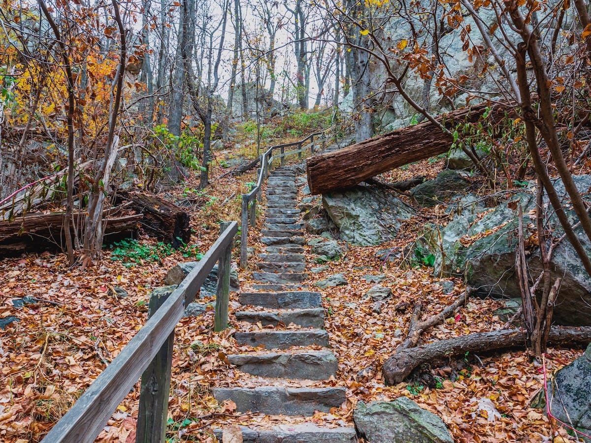 Sugarloaf Mountain has some of the best hiking trails near Frederick, MD